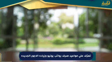 تعرّف على مواعيد صرف رواتب يونيو وزيادة الأجور الجديدة